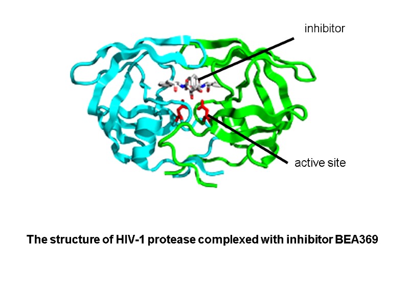 The structure of HIV-1 protease complexed with inhibitor BEA369 active site  inhibitor